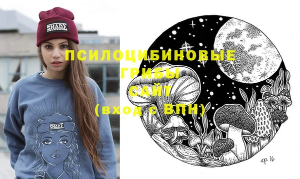 амф Приозерск