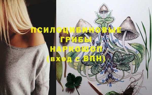 не бодяженный Алзамай